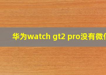 华为watch gt2 pro没有微信